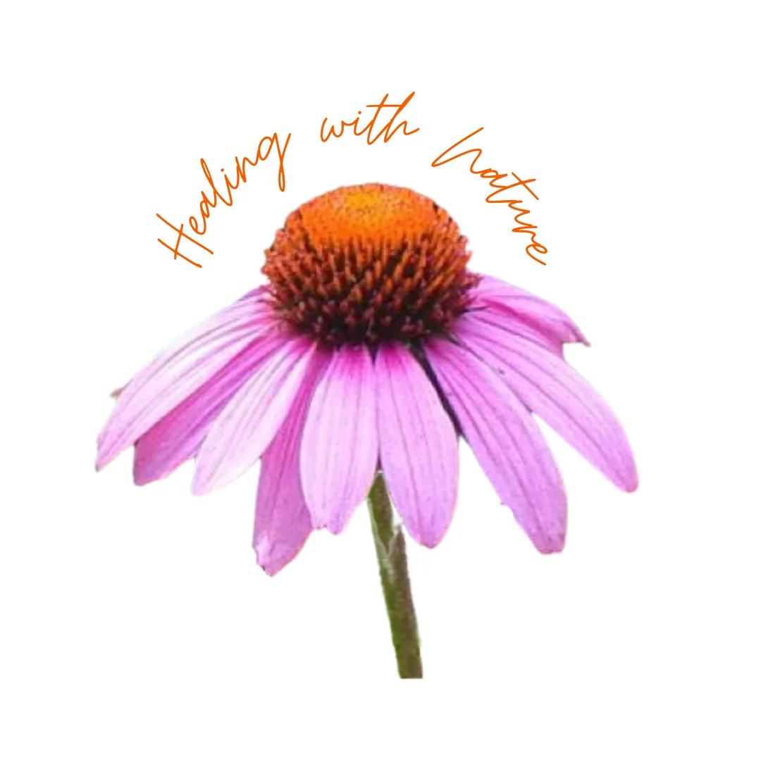 A close-up of a blooming purple coneflower. A large, spiky, reddish-orange cone rises from the center, surrounded by a ring of vibrant pink to purplish-pink petals that curve slightly downward.  Above is the caption, 